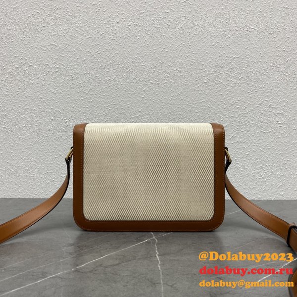 Perfect 1:1 Mirror CELINE Triomphe ONLINE selling