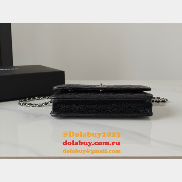 Fashion AP4241 Chain Wallet Knockoff Black Bag