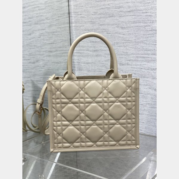 Luxury Designer dior small /mini dior book tote 2024