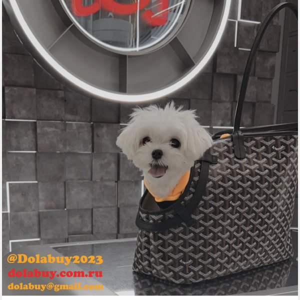 Designer Goyard Chien Gris & Pocket Pet bag
