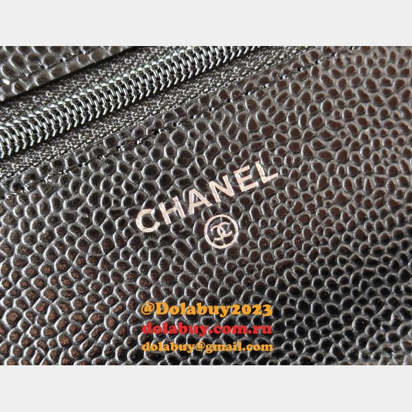Fashion AP4241 Chain Wallet Knockoff Black Bag