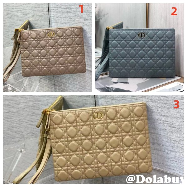 Wholesale Dior Caro Daily Clutch