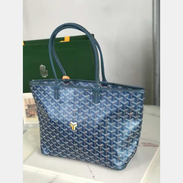 Luxury Goyard Saint Louis PM 020191 Pearlescent Tote Bag