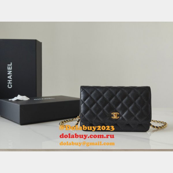 Fashion AP4241 Chain Wallet Knockoff Black Bag
